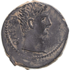 Coin, Seleucis and Pieria, Augustus, Æ, 27 BC-AD 14, Antioch, EF(40-45), Bronze