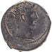 Coin, Seleucis and Pieria, Augustus, Æ, 27 BC-AD 14, Antioch, EF(40-45), Bronze