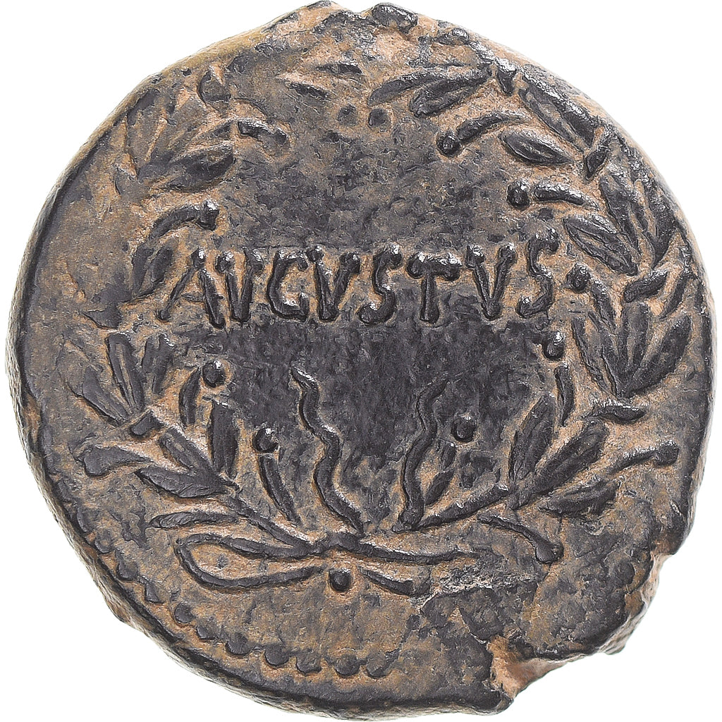 Coin, Seleucis and Pieria, Augustus, Æ, 27 BC-AD 14, Antioch, EF(40-45), Bronze