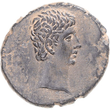 Moneta, Seleucid i Pierie, Augustus, Æ, 27 BC-AD 14, Antioch, AU(50-53)