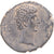 Moeda, Selêucia Piéria, Augustus, Æ, 27 BC-AD 14, Antioch, AU(50-53), Bronze