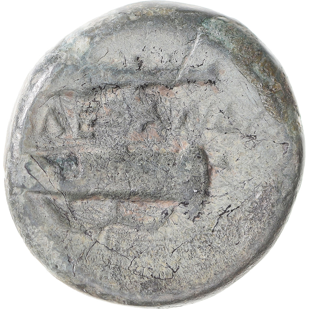 Coin, Kingdom of Macedonia, Alexander III, Æ, 336-323 BC, Uncertain Mint