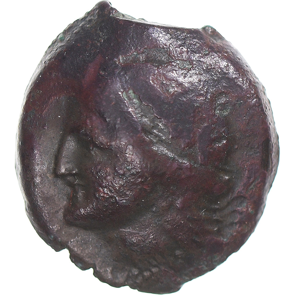 Coin, Skythia, Æ, 380-360 BC, Olbia, VF(30-35), Bronze