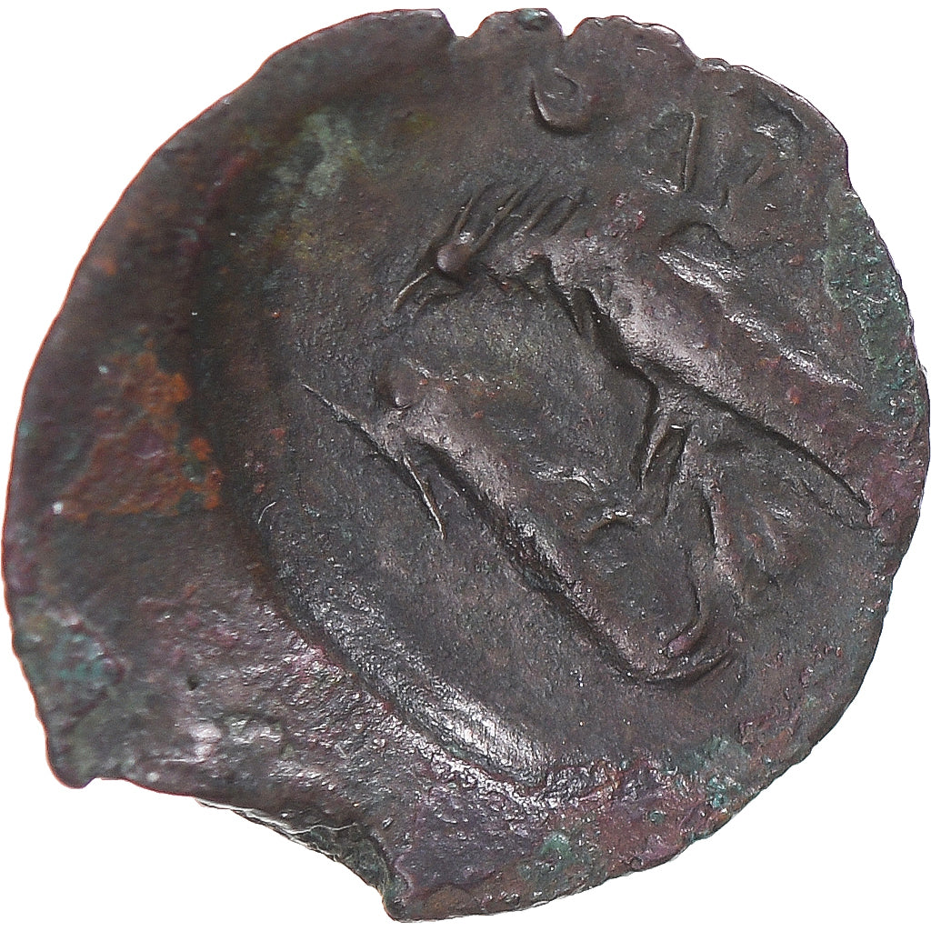 Coin, Skythia, Æ, 380-360 BC, Olbia, VF(30-35), Bronze