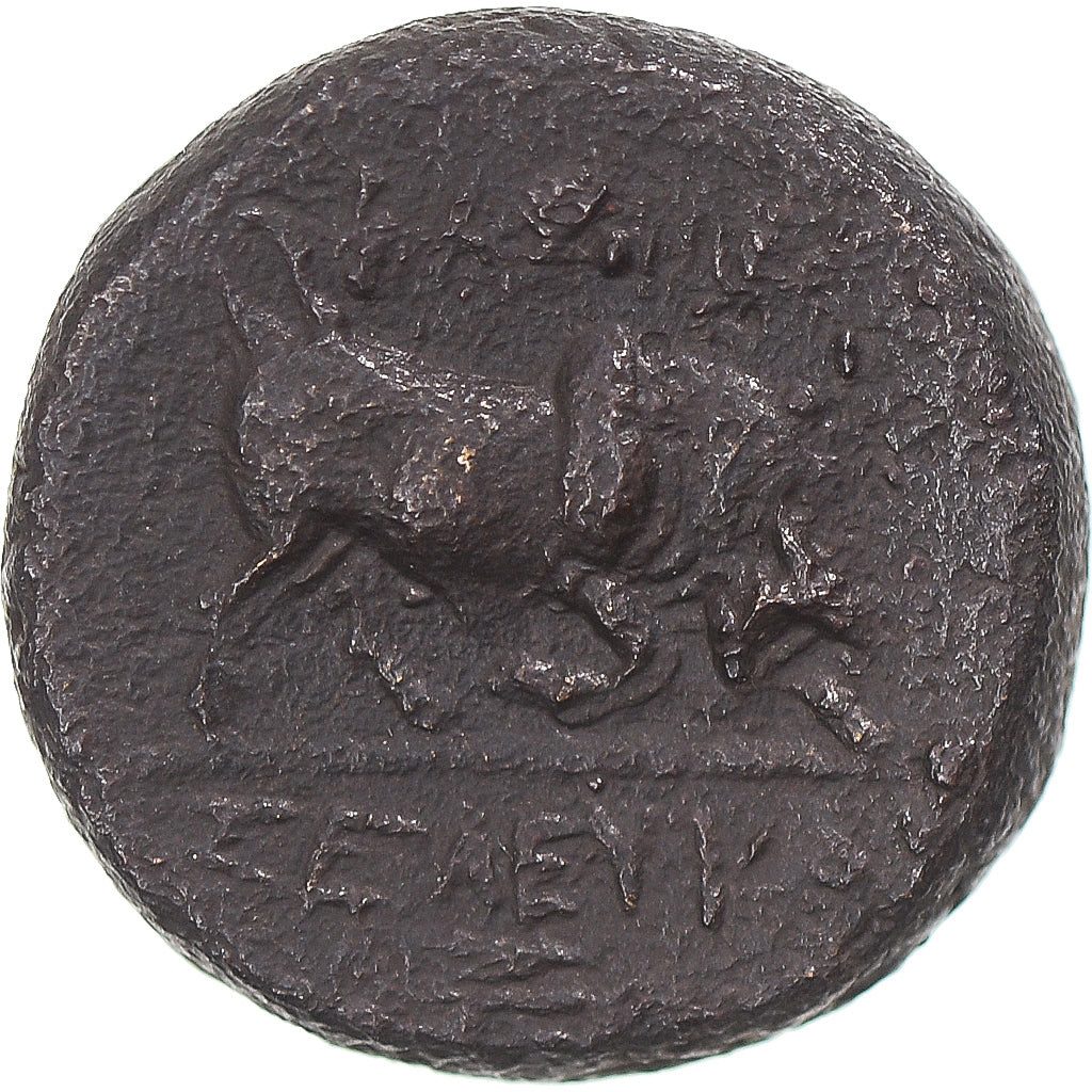 Coin, Seleukid Kingdom, Seleukos I Nikator, Æ, 312-281 BC, Sardeis, EF(40-45)