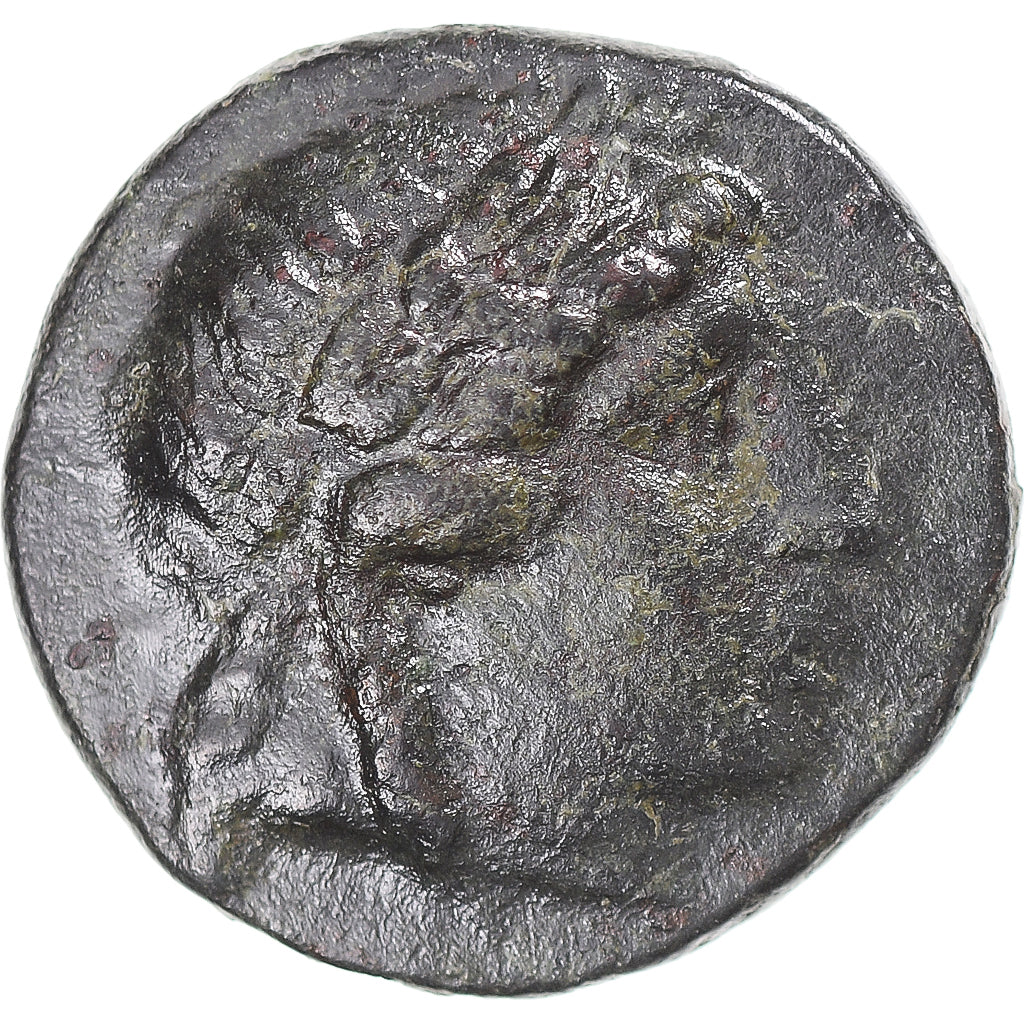 Coin, Seleukid Kingdom, Antiochos II Theos, Æ, 261-246 BC, Sardeis, EF(40-45)