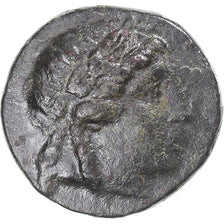 Coin, Seleukid Kingdom, Antiochos II Theos, Æ, 261-246 BC, Sardeis, EF(40-45)