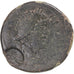 Munten, Bithynia, Septimius Severus, Æ, 193-211, Nikaia, Countermark, FR+