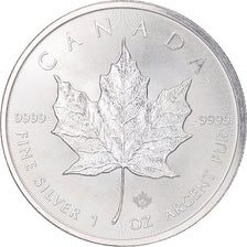 Münze, Kanada, Elizabeth II, Maple Leaf, 5 dollars, 1 oz, 2015, Ottawa, Proof