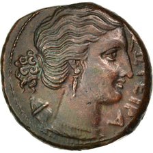 Sicily, Syracuse (317-289 BC), Bronze, Syracuse, AU(50-53), Bronze, 6.96