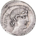 Coin, Vibia, Denarius, 90 BC, Rome, AU(50-53), Silver, Sear:242, Crawford:342/5b