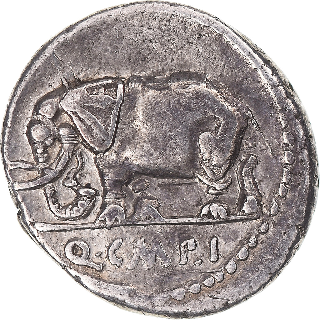 Coin, Caecilia, Denarius, 81 BC, Rome, VF(30-35), Silver, Sear:301