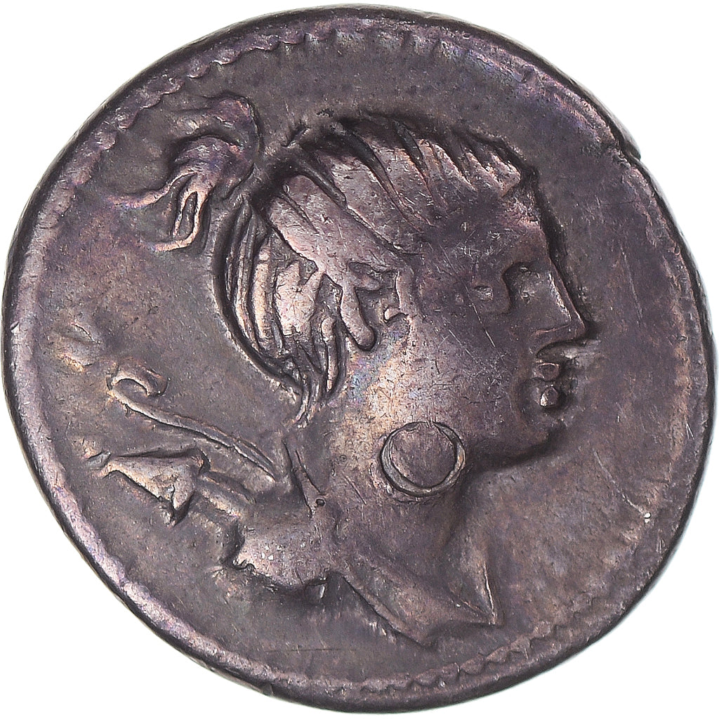 Coin, Postumia, Denarius, 74 BC, Rome, EF(40-45), Silver, Sear:330