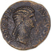 Moeda, Antonia, Dupondius, 41-45, Rome, EF(40-45), Bronze, RIC:92