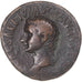 Coin, Tiberius, under Titus, As, 80-81, Rome, VF(30-35), Bronze, RIC:435