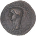 Coin, Claudius, Dupondius, 50-54, Rome, EF(40-45), Bronze, RIC:113