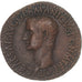 Coin, Caligula, As, 37-38, Rome, AU(50-53), Bronze, RIC:38