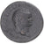 Moneta, Vespasian, Dupondius, 77-78, Rome, EF(40-45), Brązowy, RIC:1025