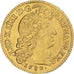 Monnaie, France, Louis XIV, Louis d’or à la tête virile, 1680, Paris, TTB+