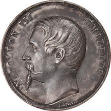 Italie, Médaille, Napoléon III, Alliance Franco-Sarde pour l'Indépendance de