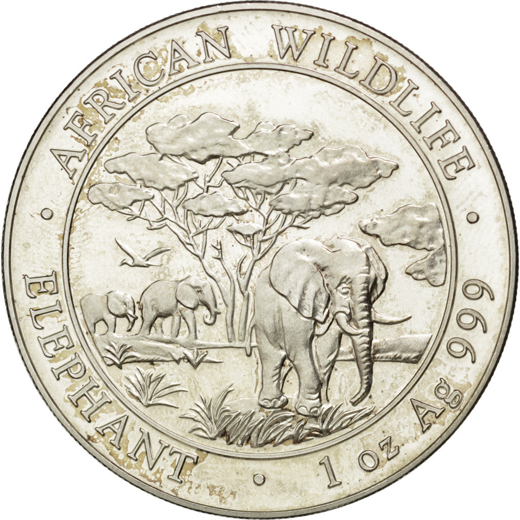 Moneta, Somalia, 100 Shillings, 2012, SPL, Argento
