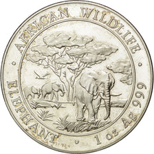Coin, Somalia, 100 Shillings, 2012, MS(63), Silver