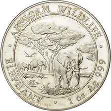 Moneta, Somalia, 100 Shillings, 2012, SPL, Argento