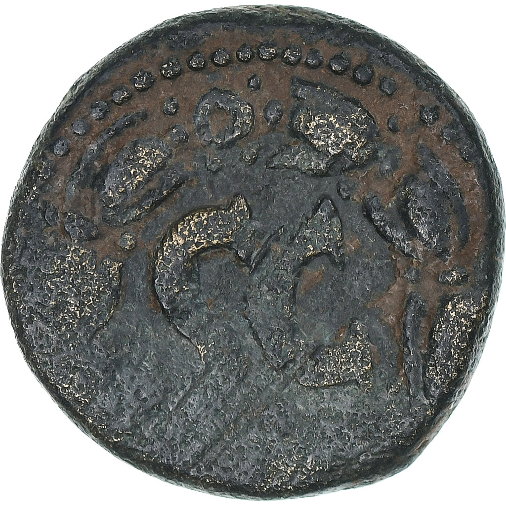 Seleucis and Pieria, Lucius Verus, As, 161-169, Antiochia ad Orontem, S, Bronze