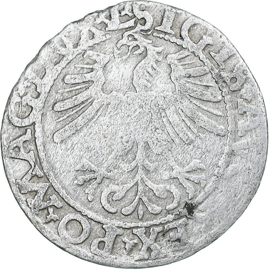 Poland, Sigismund II, Półgrosz, 1562, Vilnius, Silver, VF(30-35)