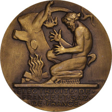 Francia, medalla, Électricité de France et gaz de France, Business & industry