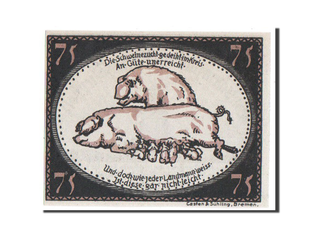 Banknote, Germany, Diepholz, 75 Pfennig, 1921, UNC(65-70), Mehl:273.5