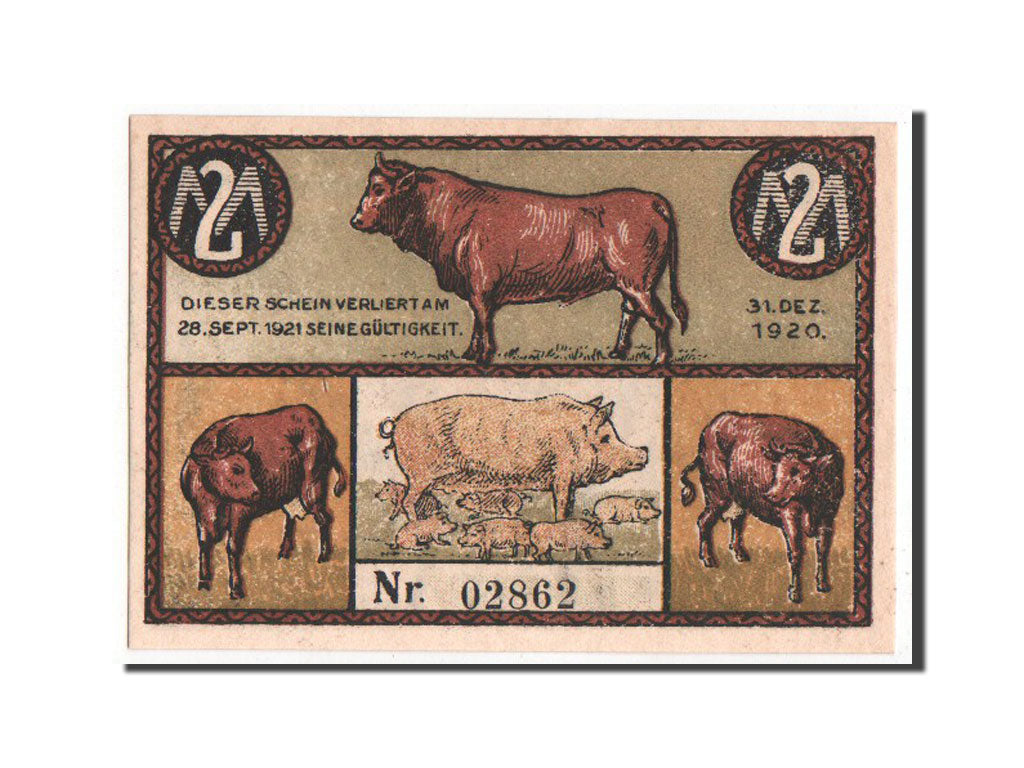 Banknote, Germany, Suderbrarup, 2 Mark, 1920, UNC(63), Mehl:1297.1