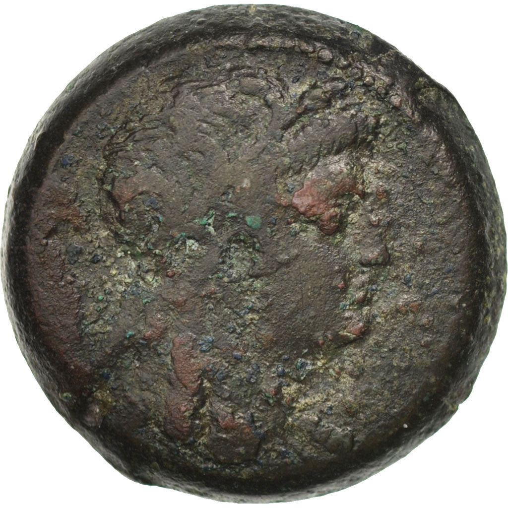 Münze, Egypt, Ptolemy VI (181-145 BC), Bronze, Alexandria, S, Bronze, SNG