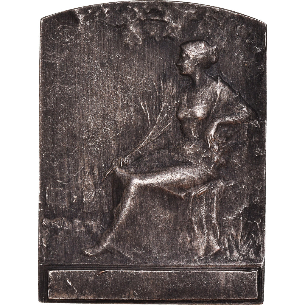 France, Médaille, Art Nouveau, Femme Assise, Baudichon, SUP, Bronze argenté