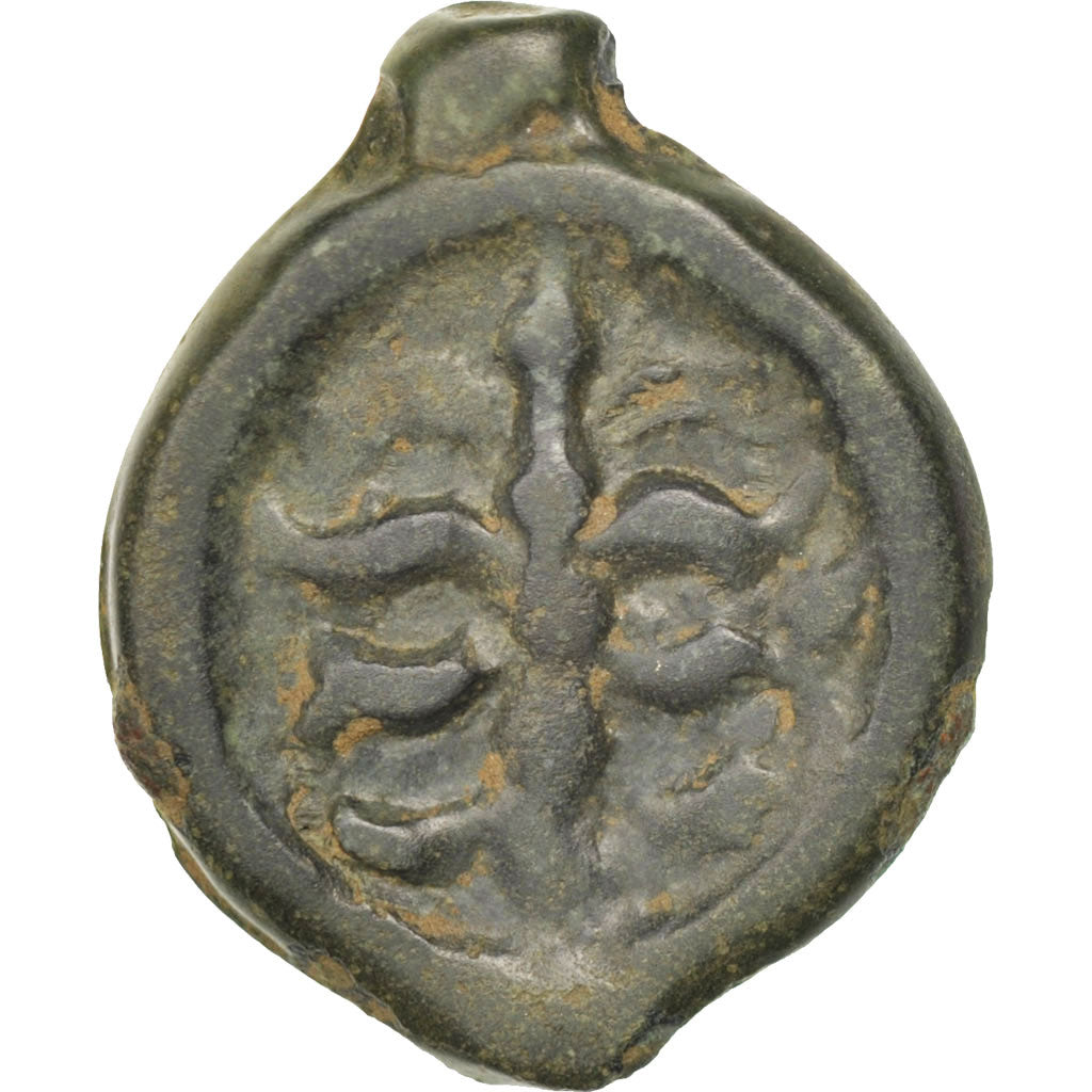 Nerviens, Belgique, Potin au Rameau, DT 629