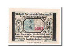 Banknote, Germany, Schleswig-Holstein, 25 Pfennig, 1921, UNC(63), Mehl:133.1a