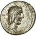 Moneda, Calpurnia, Denarius, Rome, MBC+, Plata