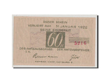Banknote, Germany, Schleswig-Holstein, 60 Pfennig, 1922, AU(55-58), Mehl:152.2a