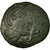 Moneda, Bellovaci, Bronze, BC+, Bronce, Delestrée:518