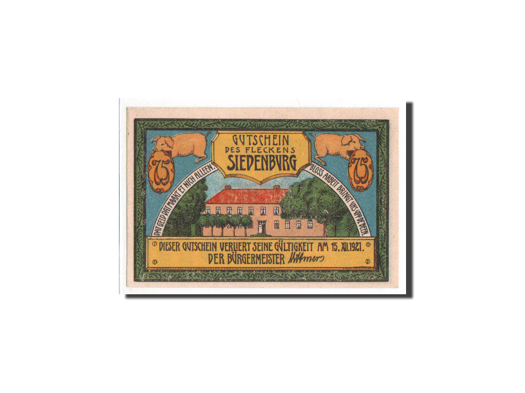 Banknote, Germany, Siedenburg, 75 Pfennig, UNC(65-70), Mehl:1223.1