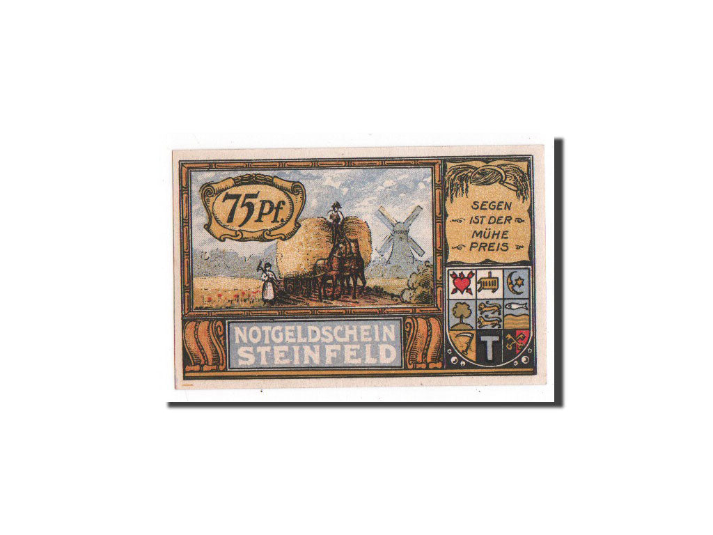 Banknote, Germany, Schleswig-Holstein, 75 Pfennig, UNC(65-70), Mehl:1262.6