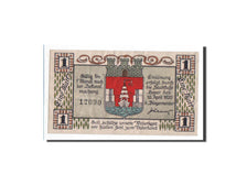 Germany, Hoyer, 1 Mark, 1920, 1920-04-10, UNC(65-70), 12090, Mehl:633.1