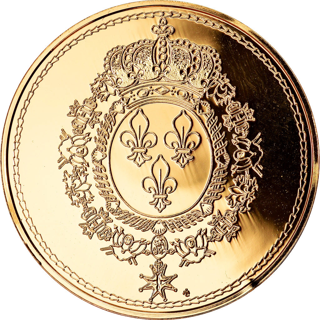 Francia, medaglia, Les rois de France, Louis XVIII, History, SPL, Vermeil