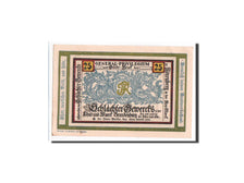 Banconote, Germania, Norenberg, 25 Pfennig, carte 1, 1921, 1921-11-08, FDS