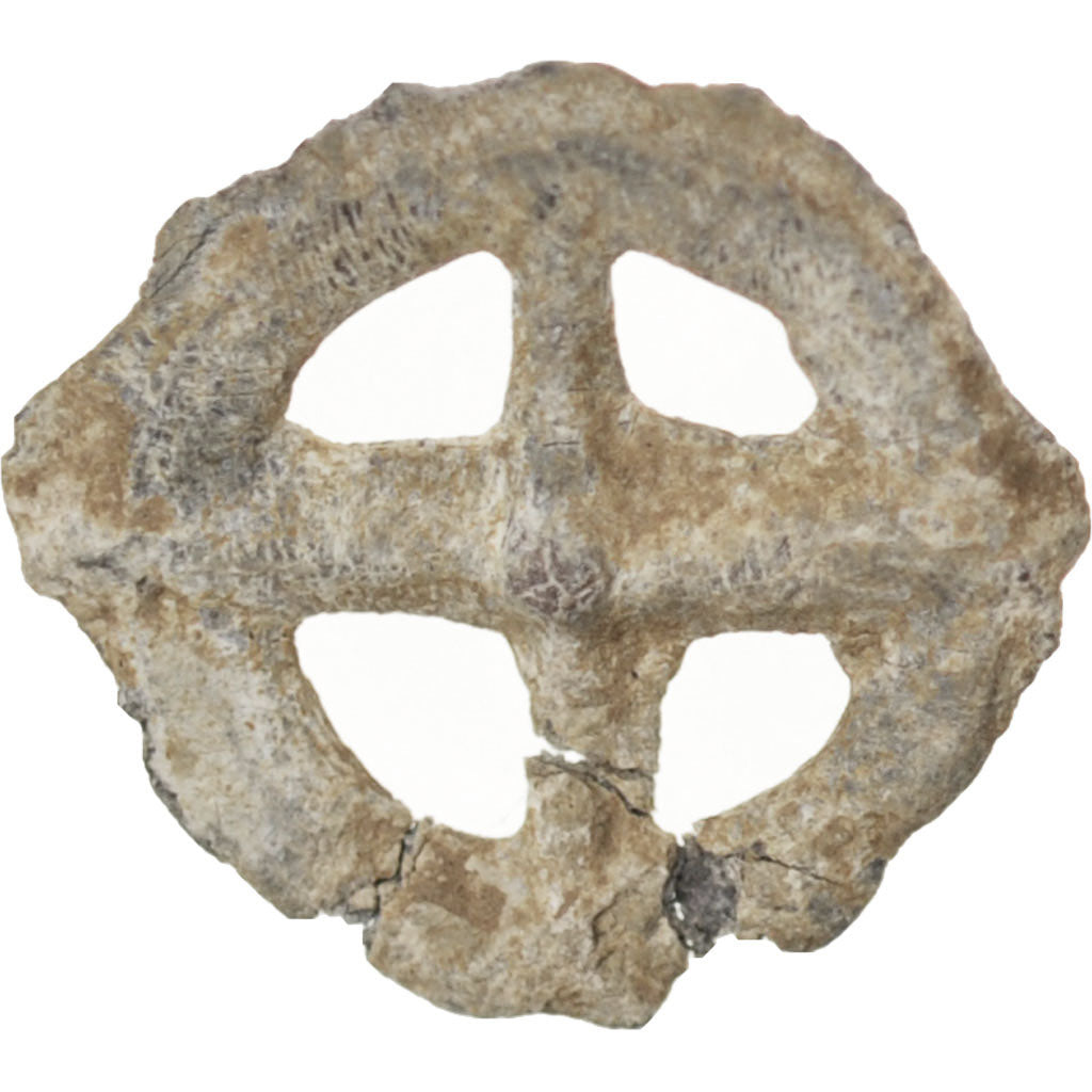 Other Ancient Coins, Rouelle, MB+, Piombo