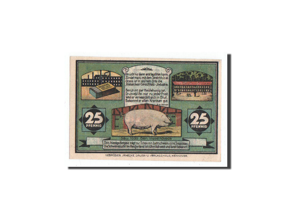 Banknote, Germany, Visselhövede, 25 Pfennig, cochon, 1921, 1921-06-01