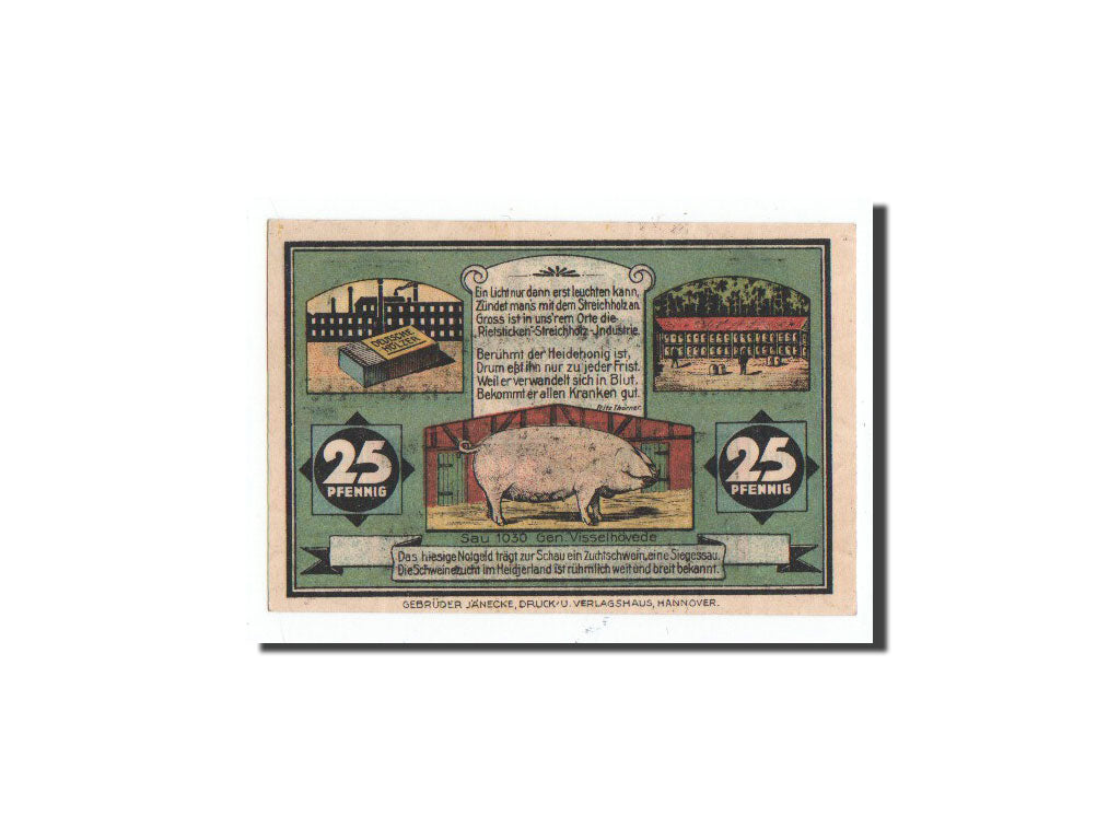 Banknote, Germany, Visselhövede, 25 Pfennig, cochon, 1921, 1921-06-01
