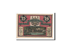 Banknote, Germany, Visselhövede, 25 Pfennig, cochon, 1921, 1921-06-01