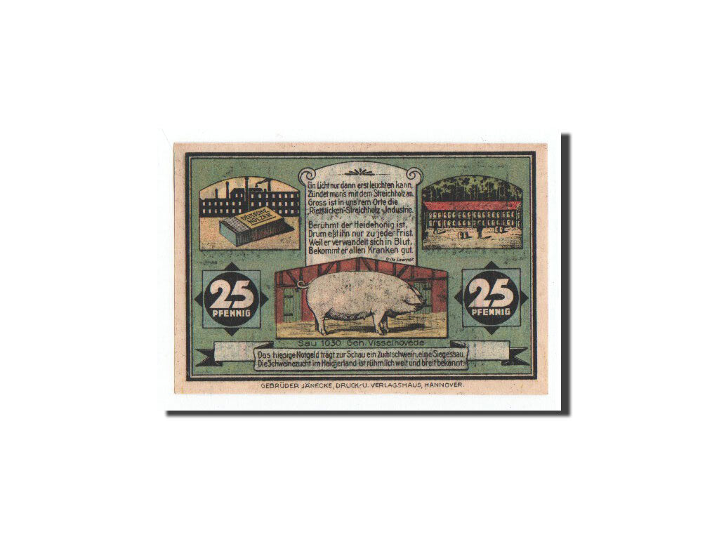 Banknote, Germany, Visselhövede, 25 Pfennig, cochon, 1921, 1921-06-01