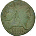 Nemausus, Nîmes, Auguste et Agrippa, Dupondius, RIC 160
